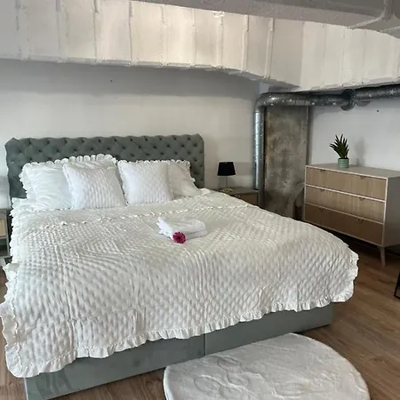 公寓 Loveloft226 日拉尔杜夫